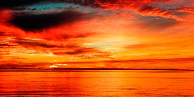 Tequila Sunrise - opskrift og historien bag drinken