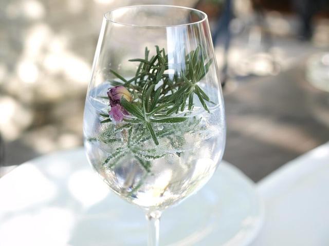 Ny EU-dom: Alkoholfri drikke må ikke kaldes “gin” – heller ikke som ‘non-alcoholic gin’