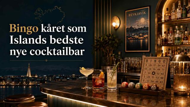 Bingo kåret som Islands bedste nye cocktailbar